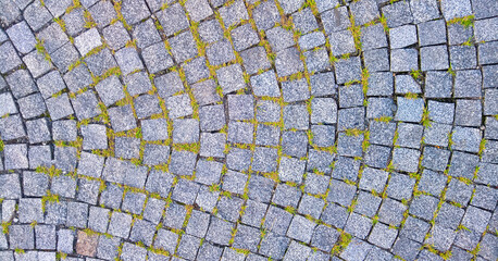 Unique granite cobblestone pavement with grass accents