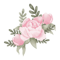 Vector watercolor hand drawn peonies and leaves  isolated on white background. Floral set for wedding and invitation. Wedding pink flowers for design and decoration