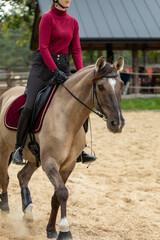 Fototapeta premium Close-up view of a young female rider on a Lusitano horse practicing horseback riding in an outdoor arena in a free-range stable. A roofed shelter is visible in the background.