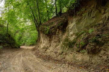 A dirt road leading through a loess ravine. Soil erosion. Szczebrzeszyn Landscape Park, Poland, Europe.