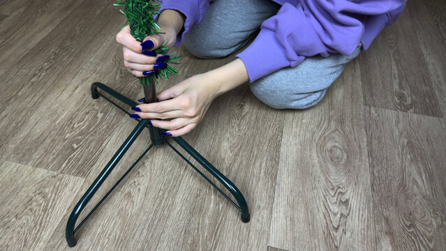 Girl sits on floor and places trunk of artificial Christmas tree into stand while decorating house for New Year. Replacing real tree with artificial folding tree for winter holidays