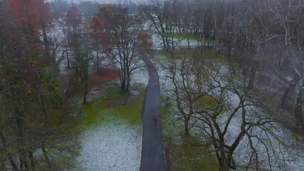 fisrt snow in the park