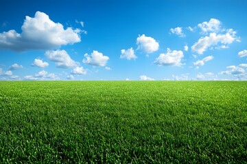 Green fields without people, clear air during the day, clear sky, beautiful white clouds floating around, giving a sense of openness, freshness, suitable for use as a background, with plenty of space.