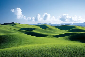 Obraz premium Green fields without people, clear air during the day, clear sky, beautiful white clouds floating around, giving a sense of openness, freshness, suitable for use as a background, with plenty of space.