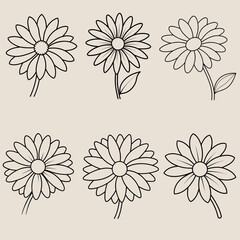 Collection of daisy flower silhouette vector illustration