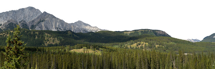 Panorama of a mountain scene with an evergreen forest in the midground. Transparent sky. Banff
