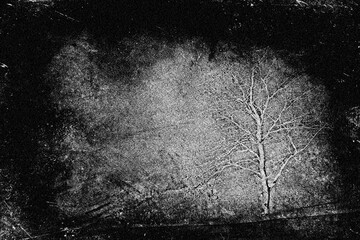 Scary grunge landscape, horror wallpaper with spooky tree, abstract texture