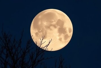 Naklejka premium Worm Supermoon A supermoon that occurs in March named after the