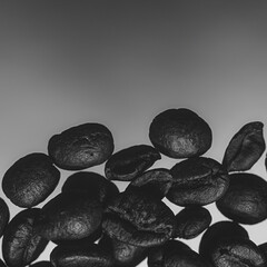 A high-contrast black and white close-up photograph of coffee beans, highlighting their texture and natural details. The monochrome palette adds depth and drama, making this image perfect for themes o
