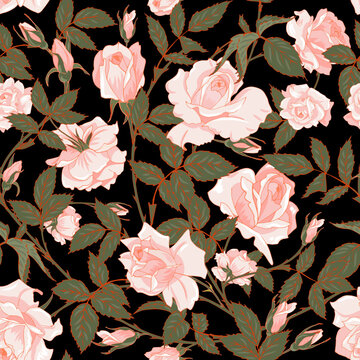 pink roses on a black background