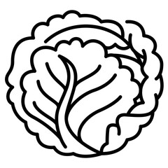 Nutrition Pack Icon,Cabbage line Icon