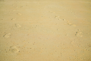 a yellow sand desert near Larnaca, Cyprus