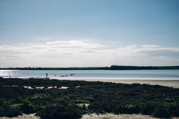 view of the salt lake where flamingos live, Larnaca, Cyprus