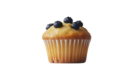 Blueberry Muffin Illustration - Delicious Sweet Treat