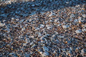 A mix of diverse rocks and fallen leaves contrasts with the surroundings, enhancing the landscapes visual appeal and highlighting natures beauty through vibrant textures and colors