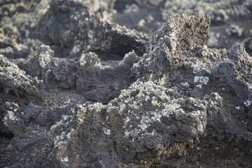 volcano, lanzarote, mountains, solid lava, volcanic rocks, travelling, trekking, UNESCO, canary islands, spain, lichen, nature, november 2024, caldera de los cuervos