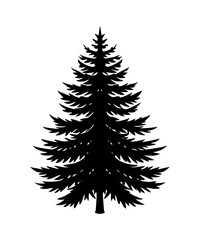 Pine Tree silhouette. Black silhouette of sine tree on white background. illustration  Vector
