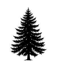 Pine Tree silhouette. Black silhouette of sine tree on white background. illustration  Vector