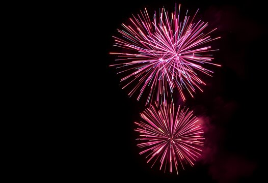Stunning pink fireworks exploding in the night sky.