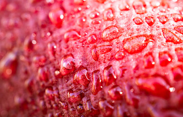 Red skin apple with droplets Macro Close-Up Shot