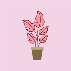 Minimalistic modern vector design of a Potted Plant Illustration
