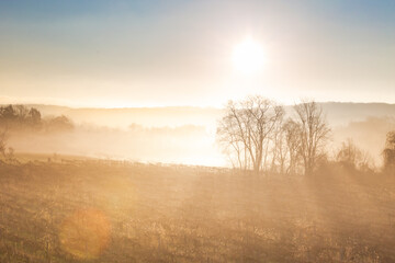 Fototapeta premium Foggy Morning Sunrise over grape vineyard