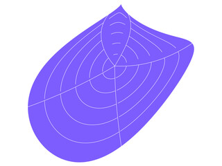 abstract purple color geometric polar grid circle shape 