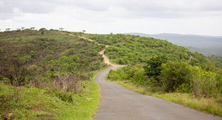 African savannah landscape, winding road going up the green grass hill, Hluhluwe park, South Africa