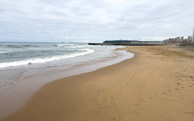 Durban beach, palm trees and stormy indian ocean, South Africa. 