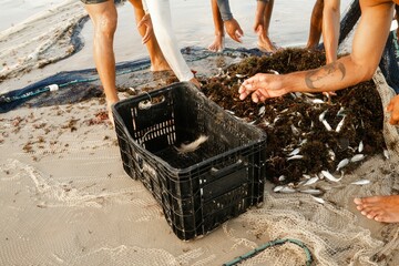 Fishermen sorting small fish and seaweed on a sandy beach with nets and baskets