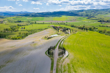 Naklejka premium The cypresses of Val d'Orcia drone view in Tuscany of Italy 