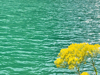 Peaceful landscape view of lake in Mat, Albania