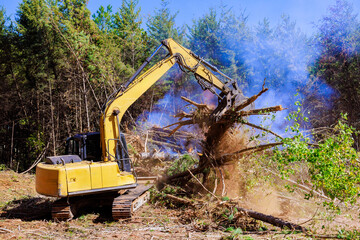 Burning of uprooted trees during construction site clearing generates environmental challenges.
