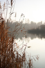 misty morning on the river