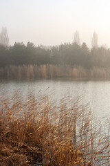 misty morning on the river