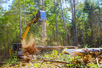 As preparation for construction of new structure, trees are uprooted using an excavator by...