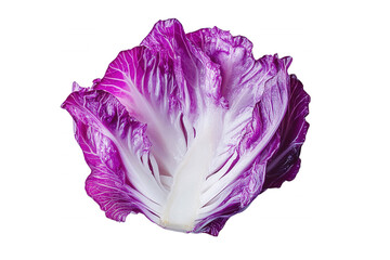 Obraz premium Purple cabbage, showcasing its vibrant color and texture, isolated on transparent or white background