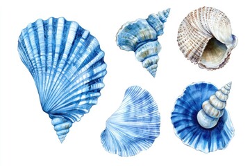 Fototapeta premium A collection of seashells arranged on a plain white background