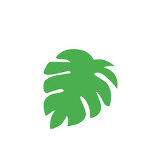 green monstera leaf vector