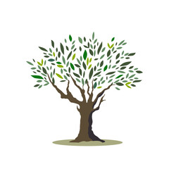 Tree with branches and leaves stylized in flat style. Olive tree icon for design. Vector illustration isolated on white background.