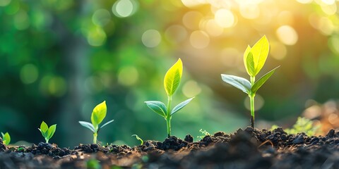 Business growth, investment, and profit increase graph, showcasing the positive financial impact of strategic investments, operational efficiency, and market expansion for sustained success.