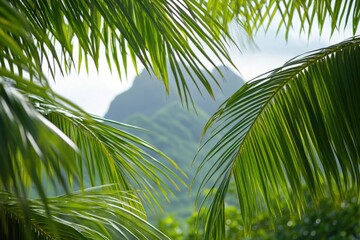 Fototapeta premium A scenic view of mountains seen through the leaves of a palm tree