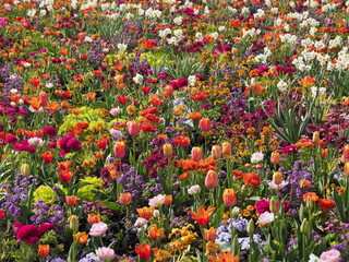 Wunderschönes Blumenbeet