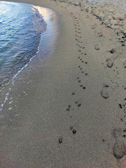 Human and dog footprints weave along serene beach shoreline, parallel to gentle waves meeting wet sand. Morning or dusk light capturing a peaceful coastal moment.
