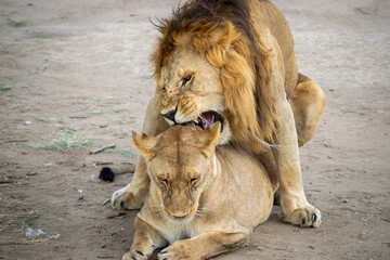 Simiyu is an administrative region of Tanzania. It was created in March 2012, being until then part of the Shinyanga Region. Its capital is the city of Bariadi.