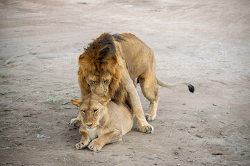 Simiyu is an administrative region of Tanzania. It was created in March 2012, being until then part of the Shinyanga Region. Its capital is the city of Bariadi.