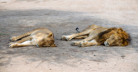 Simiyu is an administrative region of Tanzania. It was created in March 2012, being until then part of the Shinyanga Region. Its capital is the city of Bariadi.