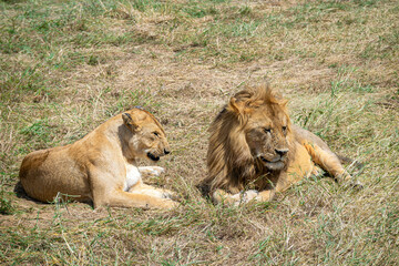 Simiyu is an administrative region of Tanzania. It was created in March 2012, being until then part of the Shinyanga Region. Its capital is the city of Bariadi.