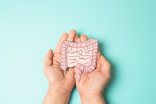Colon, colorectal or rectal cancer, inflammatory bowel disease, weight loss, abdominal pain and fatigue,  Morbus Crohn, ulcerative colitis, digestive system organ,  medical health