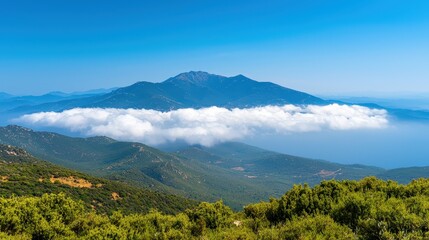 Majestic Mountain Landscape with Sea of Clouds Panoramic View